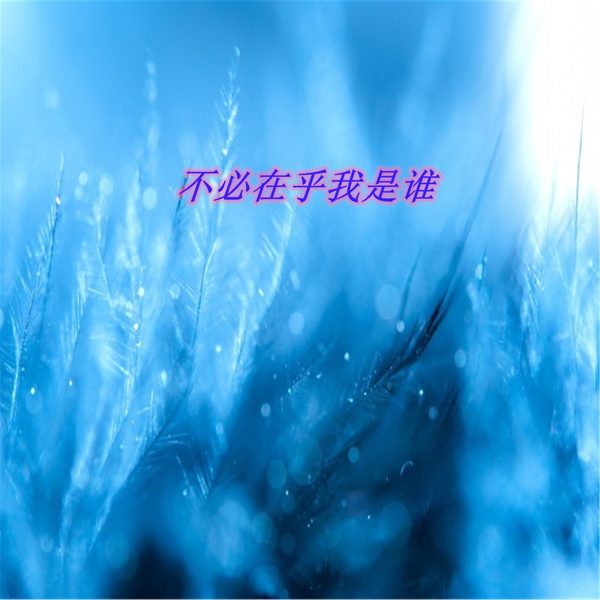 不必在乎我是谁