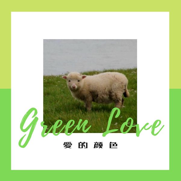 爱的颜色