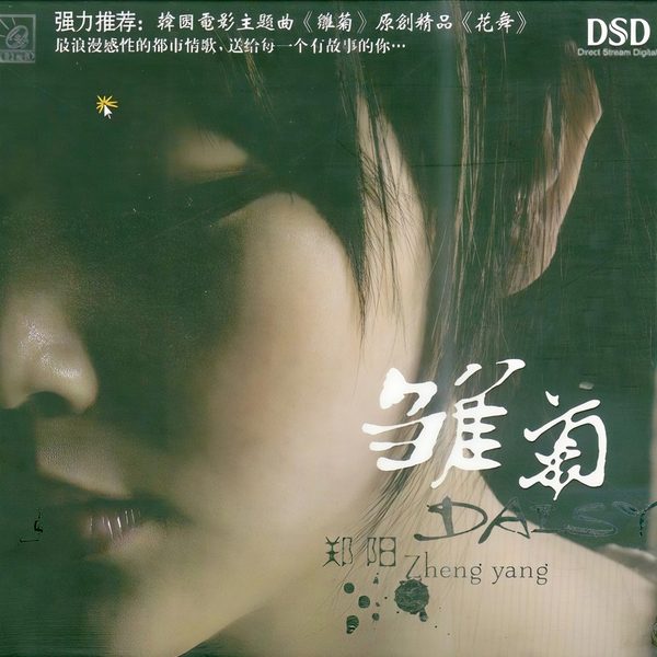 雏菊