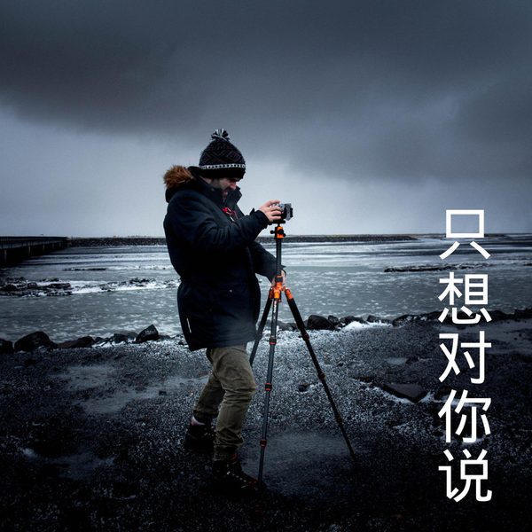 只想对你说