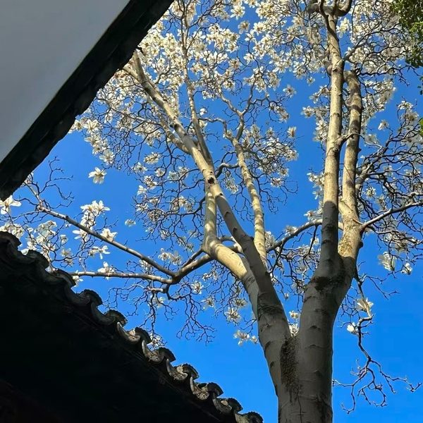 回到那天相遇
