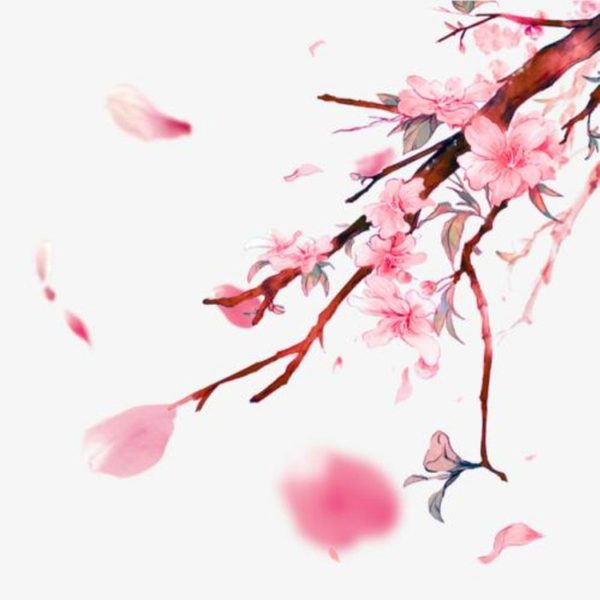 暴风一族