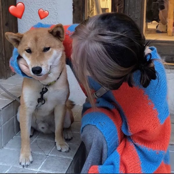 你是小猪佩