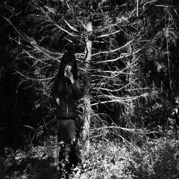 JANUS (Explicit)