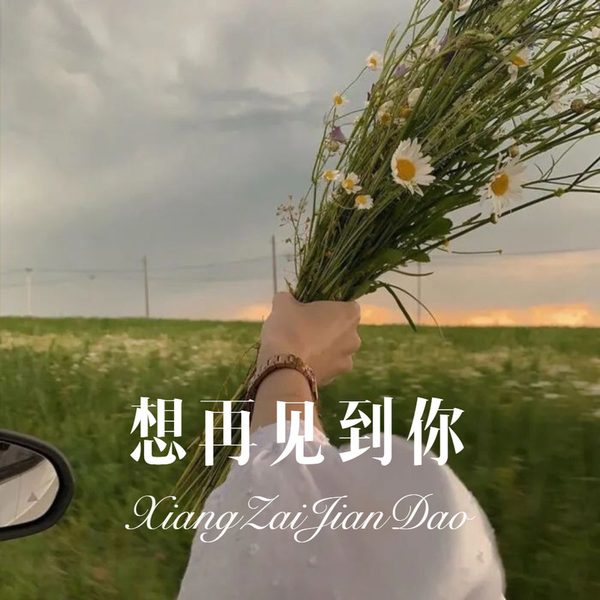 想再见到你
