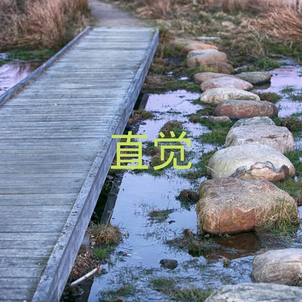 直觉