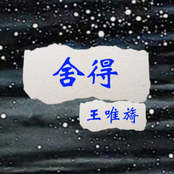 舍得 (Remix版)