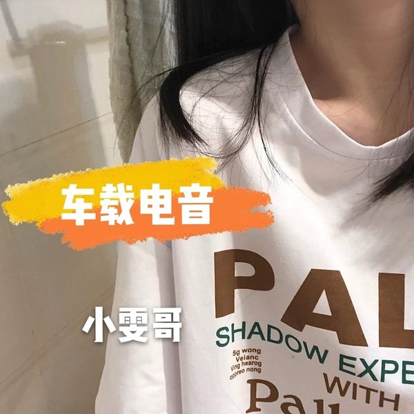 车载电音