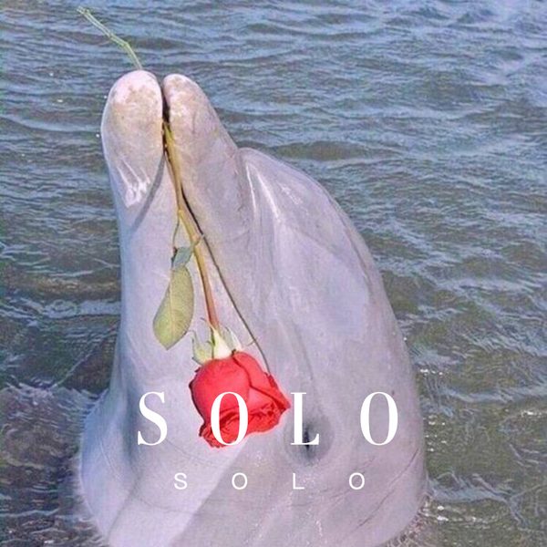 SOLO