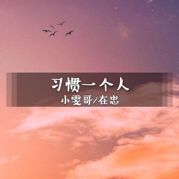 习惯一个人