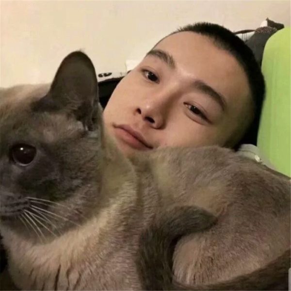 气质男人
