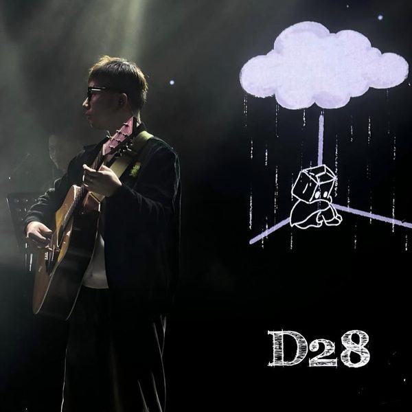 D28