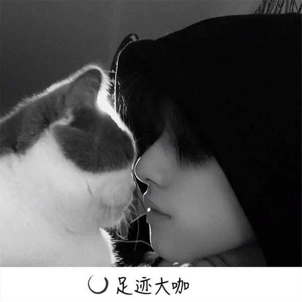 秘密旋律