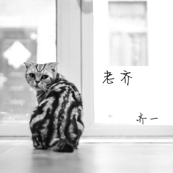 老齐