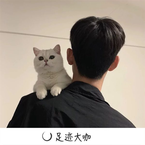 伊月半梓
