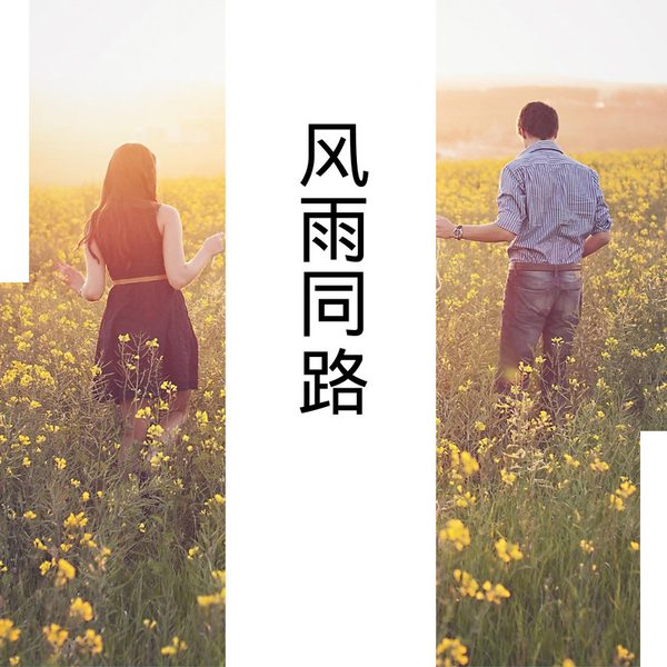 风雨同路