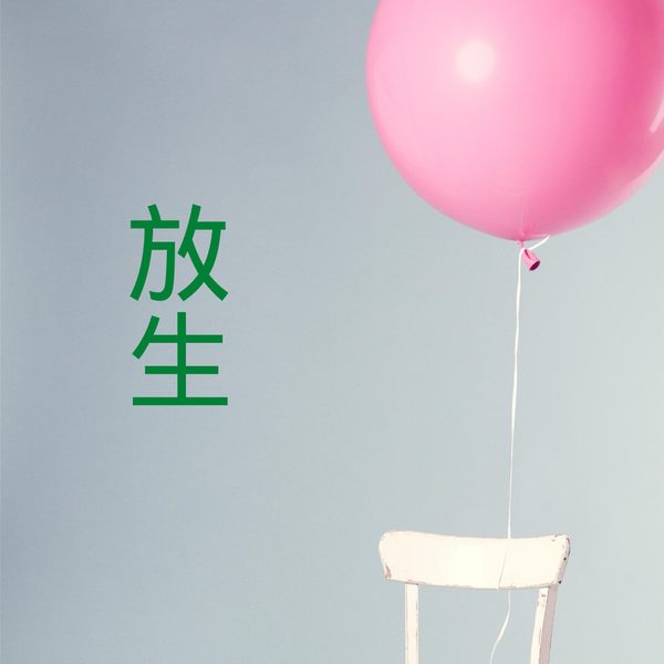 放生