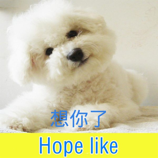 想你了