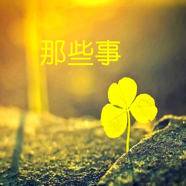 那些事