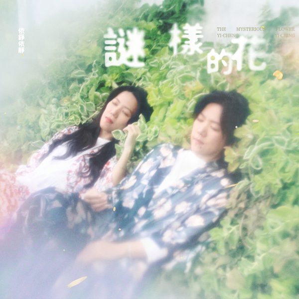 谜样的花