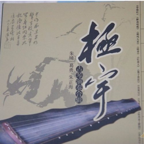 极宇